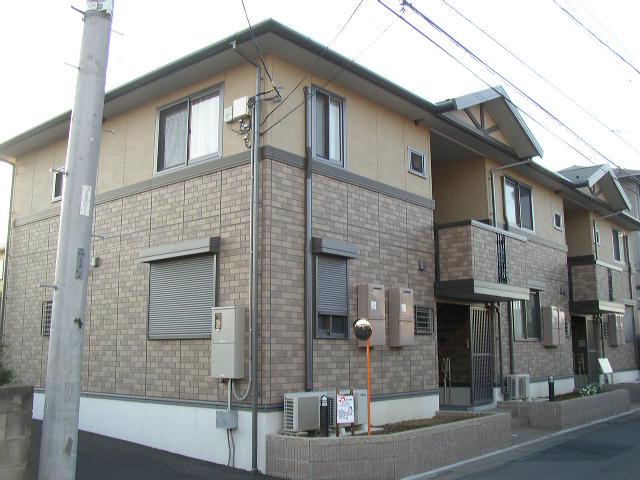 ステラコート