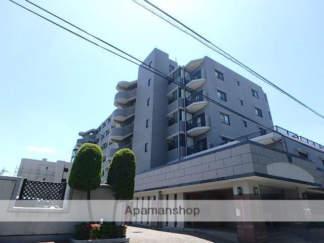 フォーリストフジカ