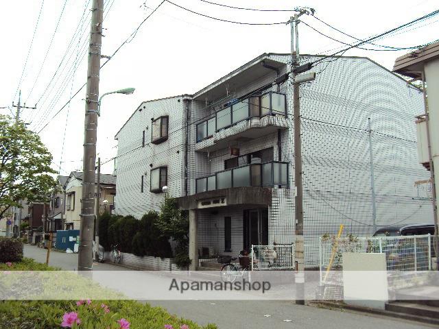 グリーンシャイン芝