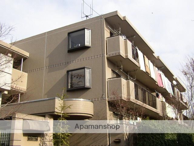 ドルフ・ヤマノウチ B