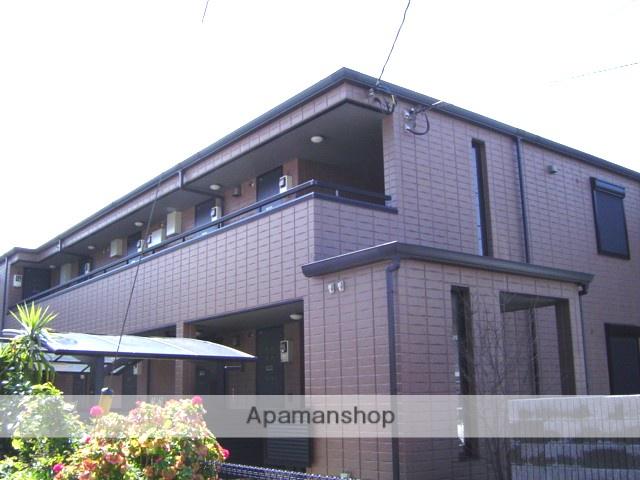 ステラアルテア