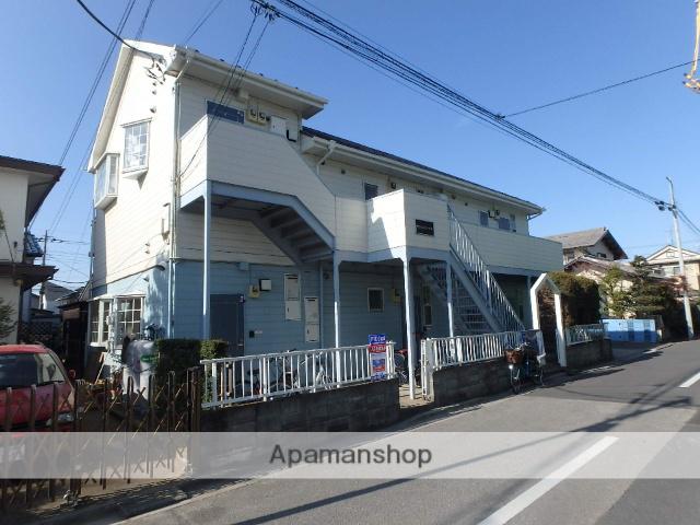 サンシャインベル