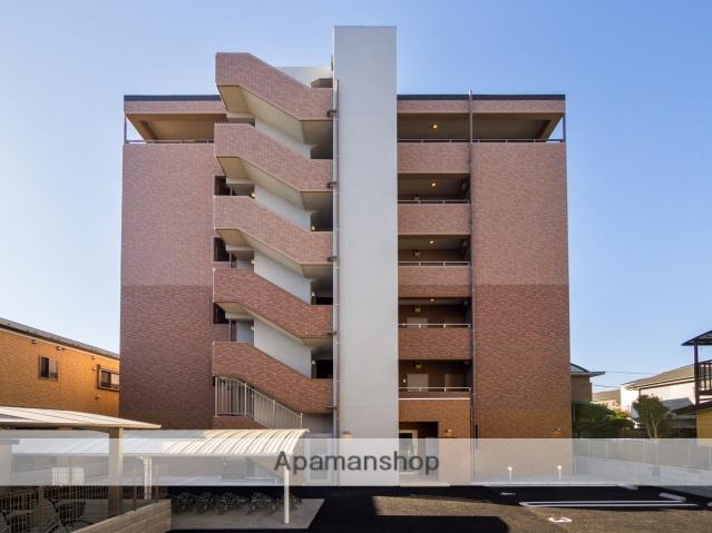 ステーラ・ルーチェ