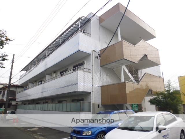 アンジェリーナ