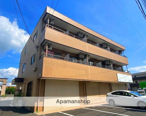 サンシティしいの木