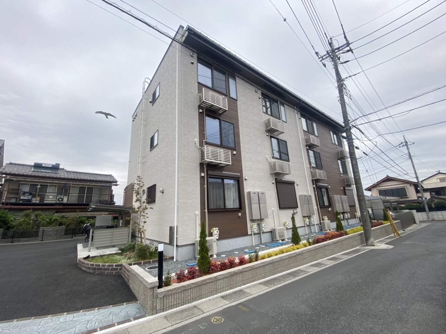 チェリーブロッサム