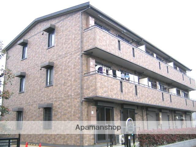 ジャーマンアイリスⅡ