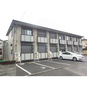 グレイスコート