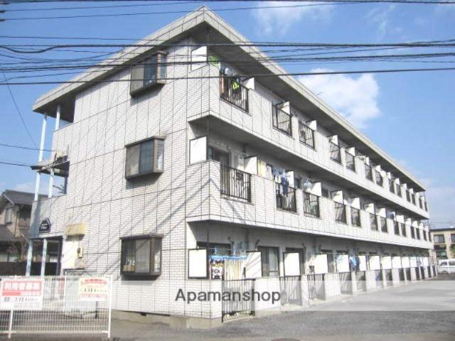 パープルティアラ