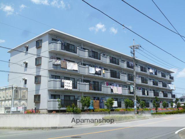 エーデルワイス