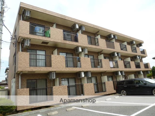 スプリングサニー