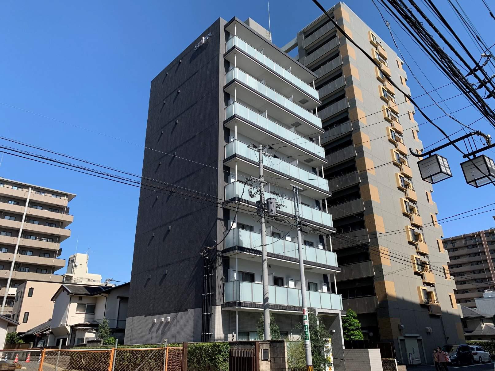 OLIVE UN ARBRE TOKIWA オリーヴ アン ア