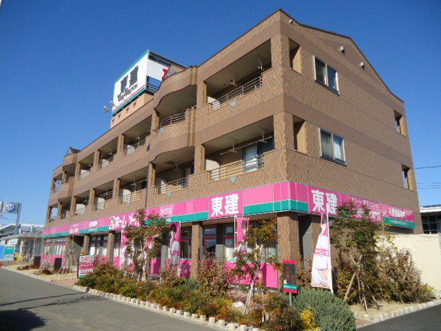 パイン・フィールド