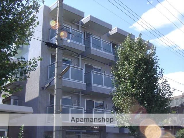 グレースランド・ワラビ