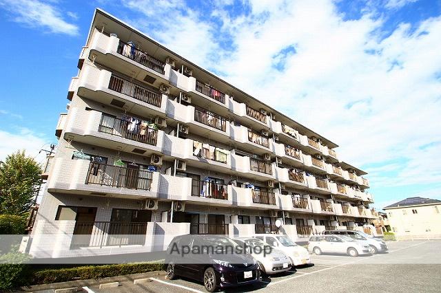 ゴールドクレスト