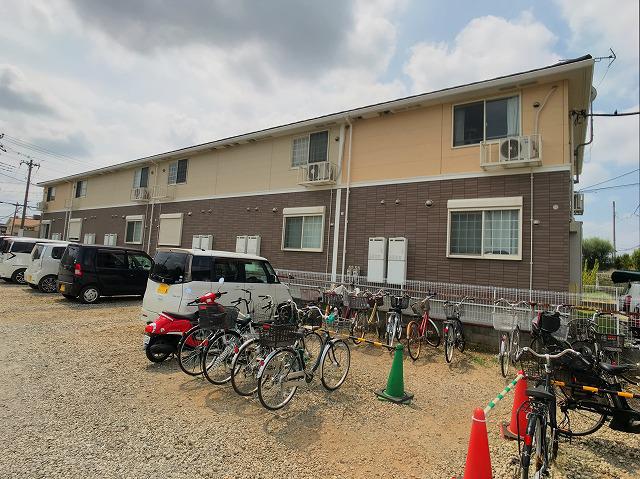 RUHA-CHI 藤ルハ-チ