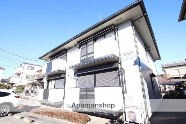 オリーブライト