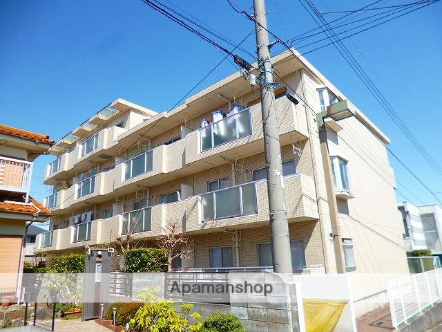 センチュリーメヌエット