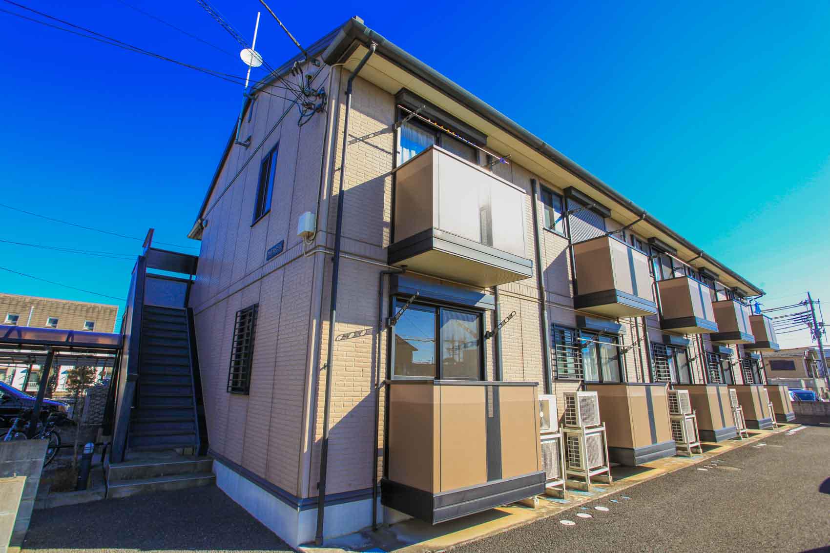 アメジストセージ