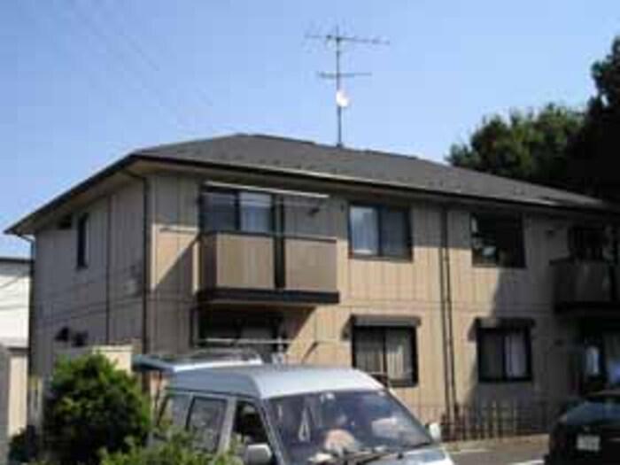 コートビビット