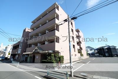 ウィンベルソロ川越17