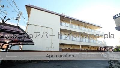 サンホワイト富士見