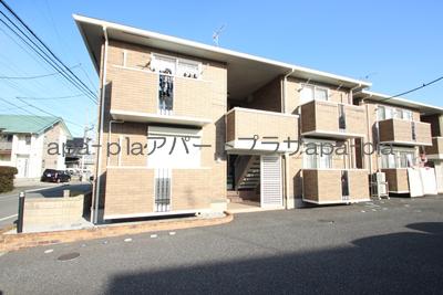 エテルナピーノA