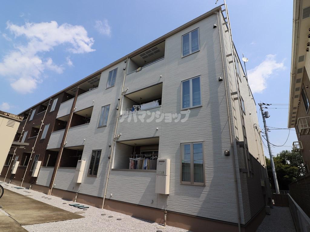 フラン・ブルーム