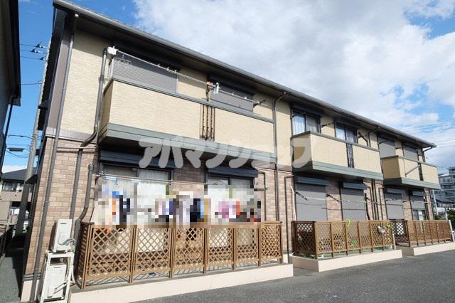 ハイカムール・シアン