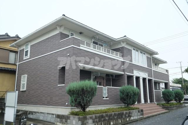 カーサ・ビオラ