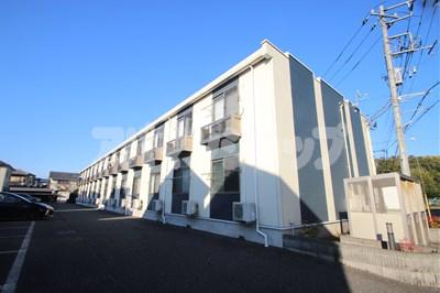 レオネクストブルーリーフ