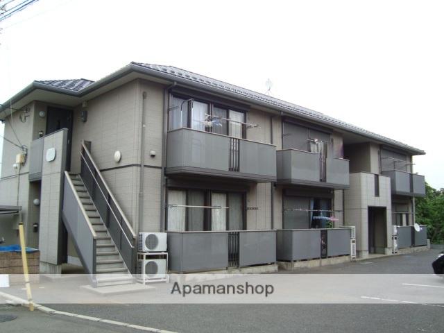 セルサスハイム