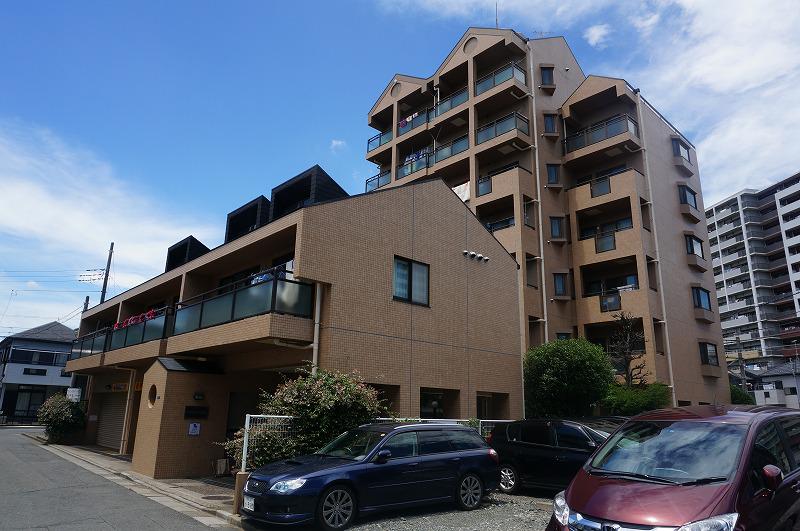 ツィンクルパーシモン