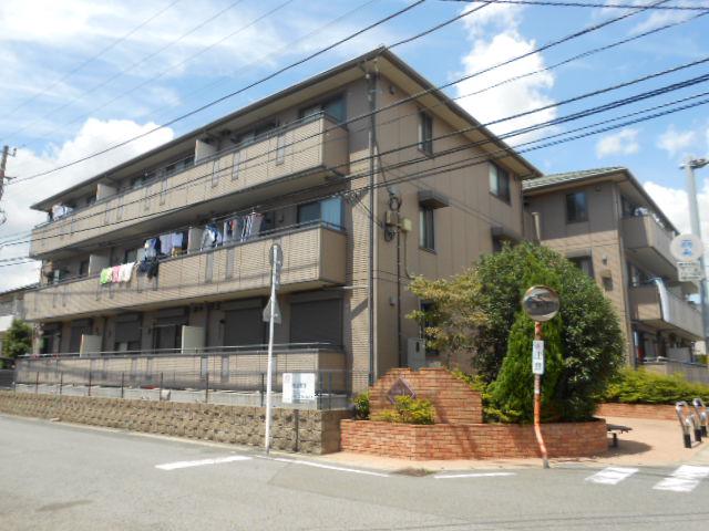 セジュール山の根