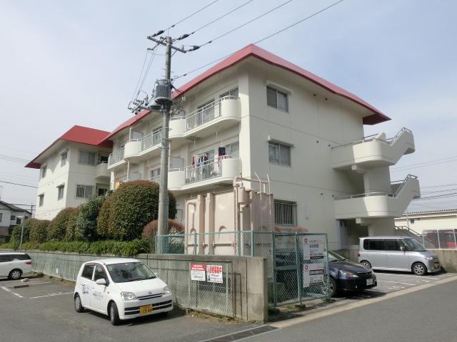シャインクロコ