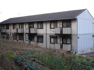 ジョイ・フィールド