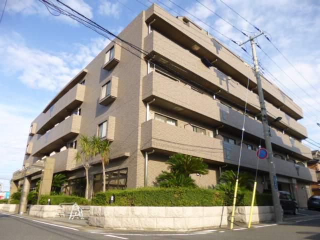 グランピーノ妙典