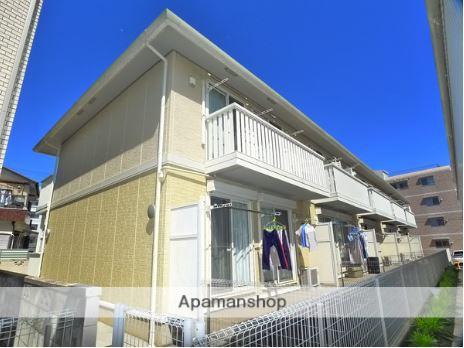 グレイスチェリー