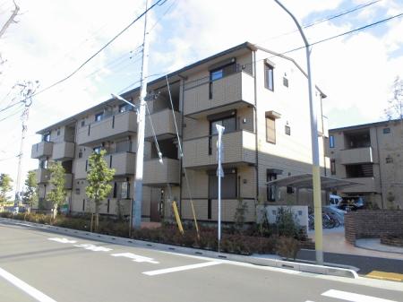 ロイヤルティアラ Ⅴ・Ⅵ Ⅵ