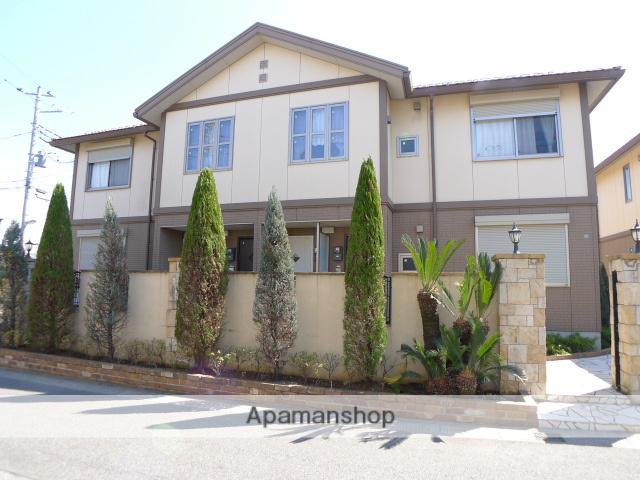 アンジェリーク