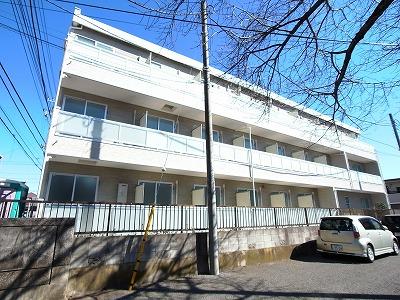 リブリメープル