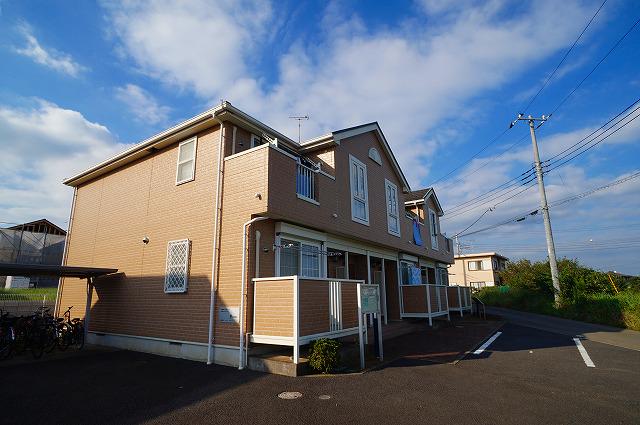 クレインわらび