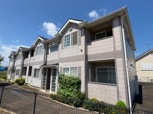 キャロット・ガーデン