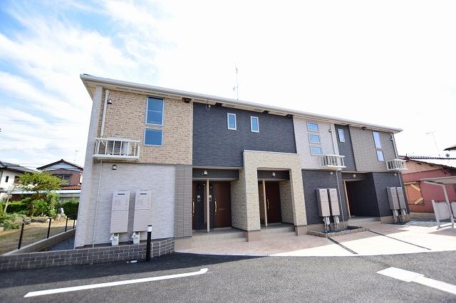 べレット花水木