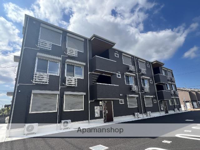 シャイングレイス