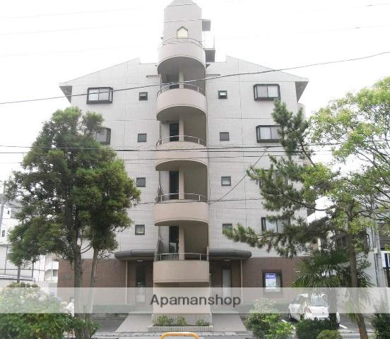 ベリング・アイ