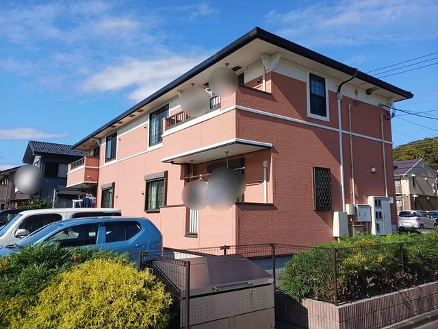 ライズアンドシャインⅡ