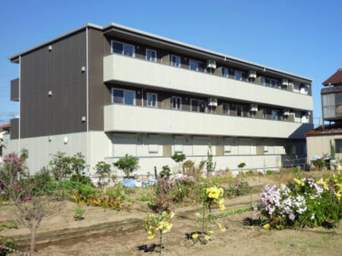 グラマードマレⅡ