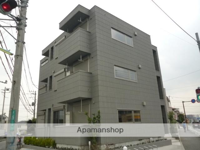 クレステッド・アイビス