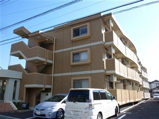 シャムロックII